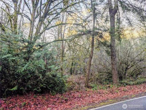 0 Whiteman Road SW Lakebay WA 98349