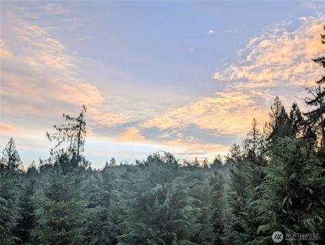 0 Whiteman Road SW Lakebay WA 98349