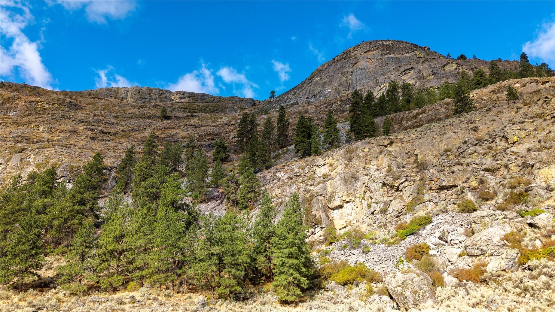 0 Tbd Pharr Out - 13 Way Omak WA 98841