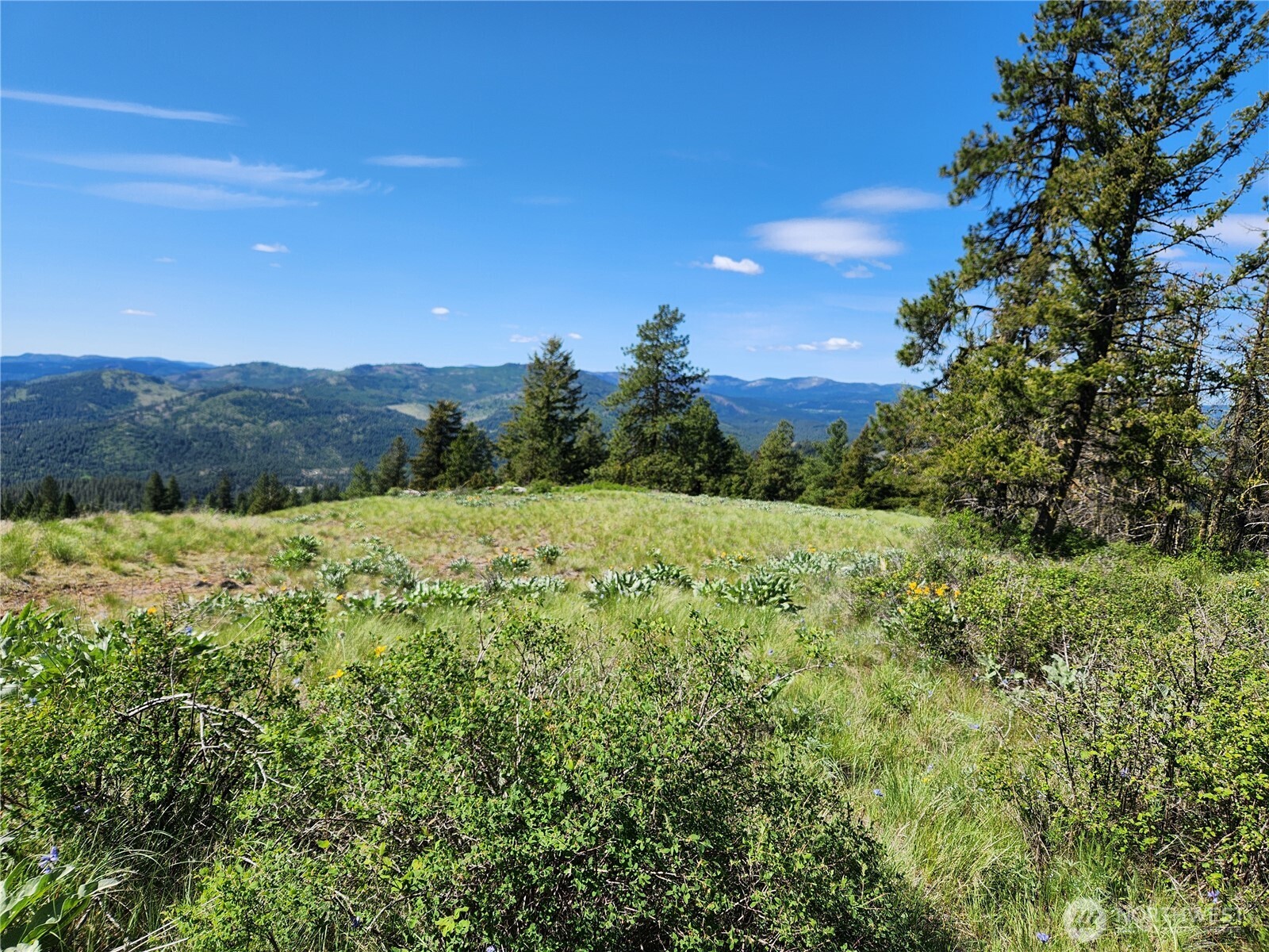 0 E Knob Hill Road Republic WA 99166