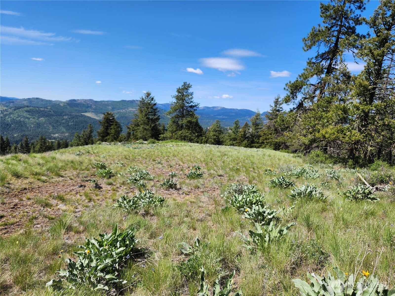 0 E Knob Hill Road Republic WA 99166
