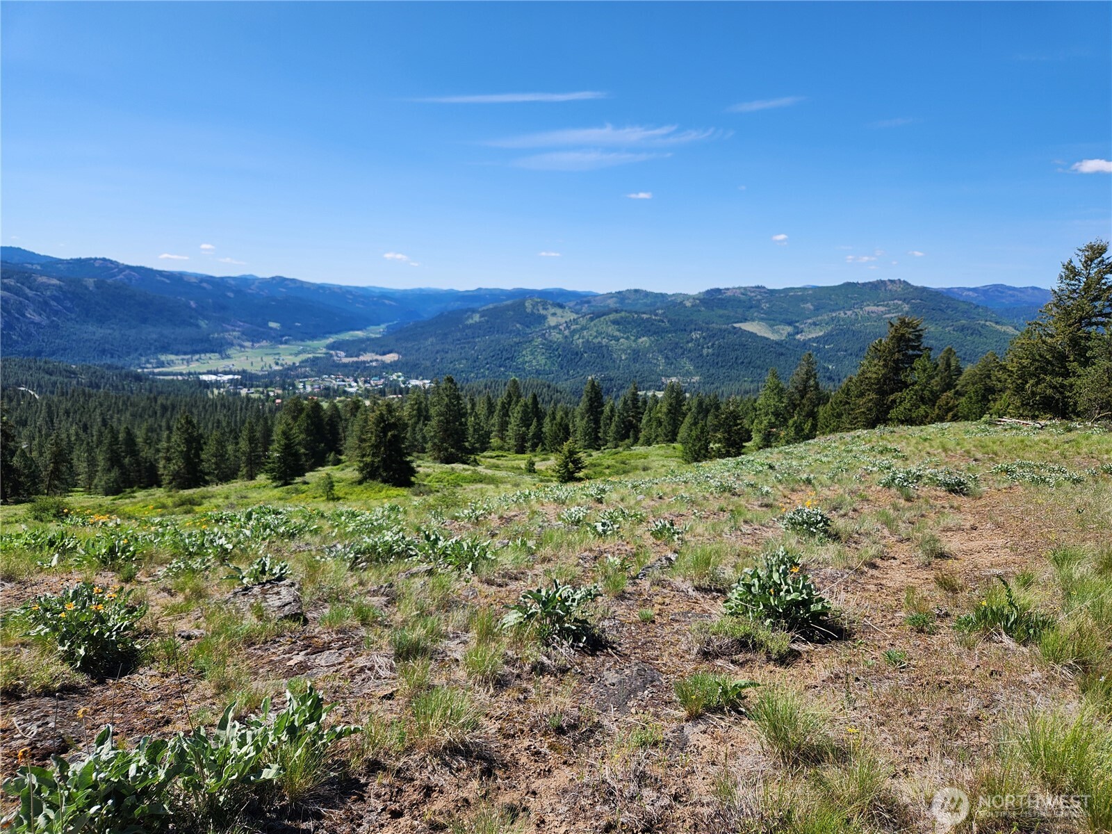 0 E Knob Hill Road Republic WA 99166