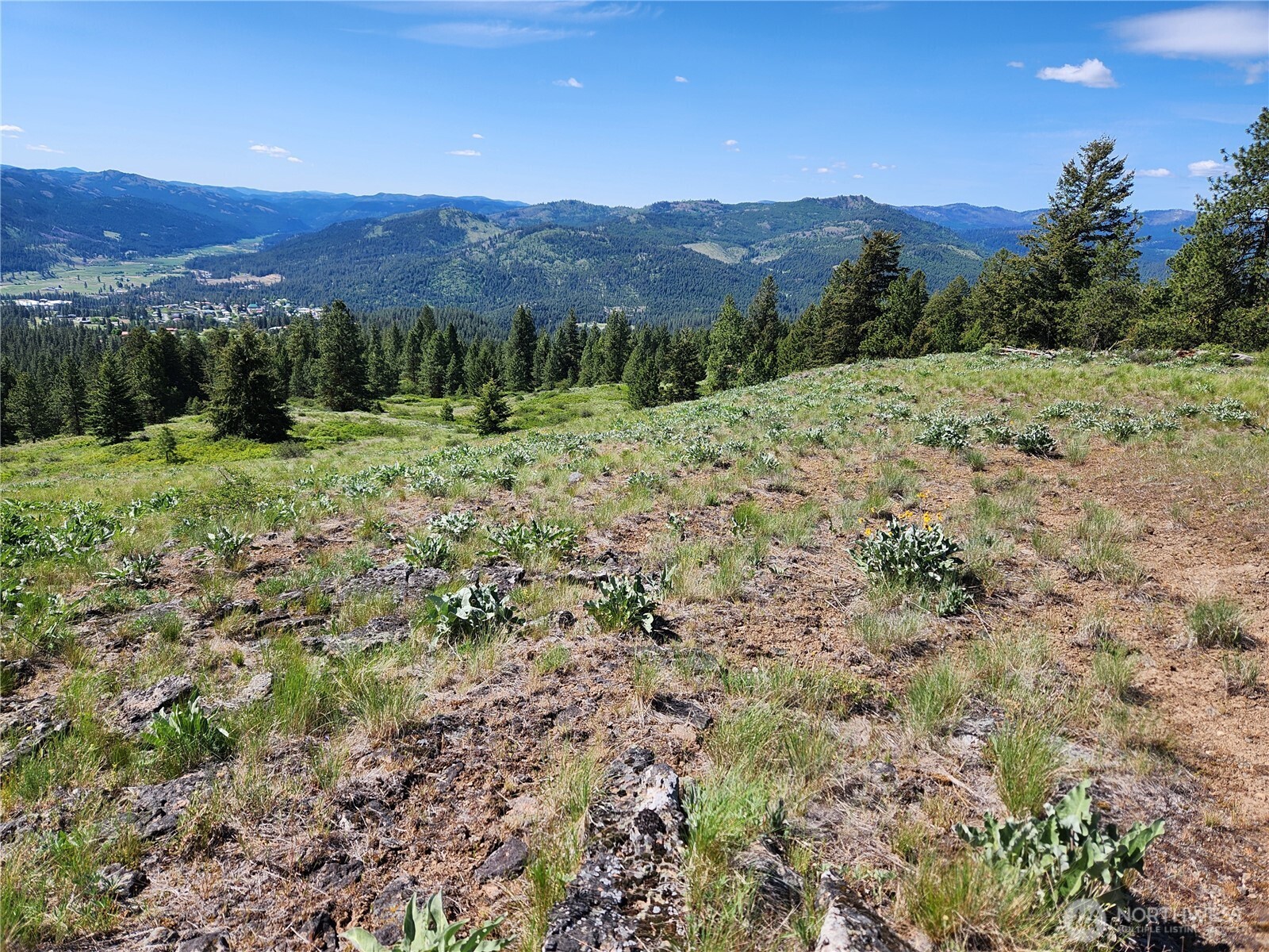 0 E Knob Hill Road Republic WA 99166