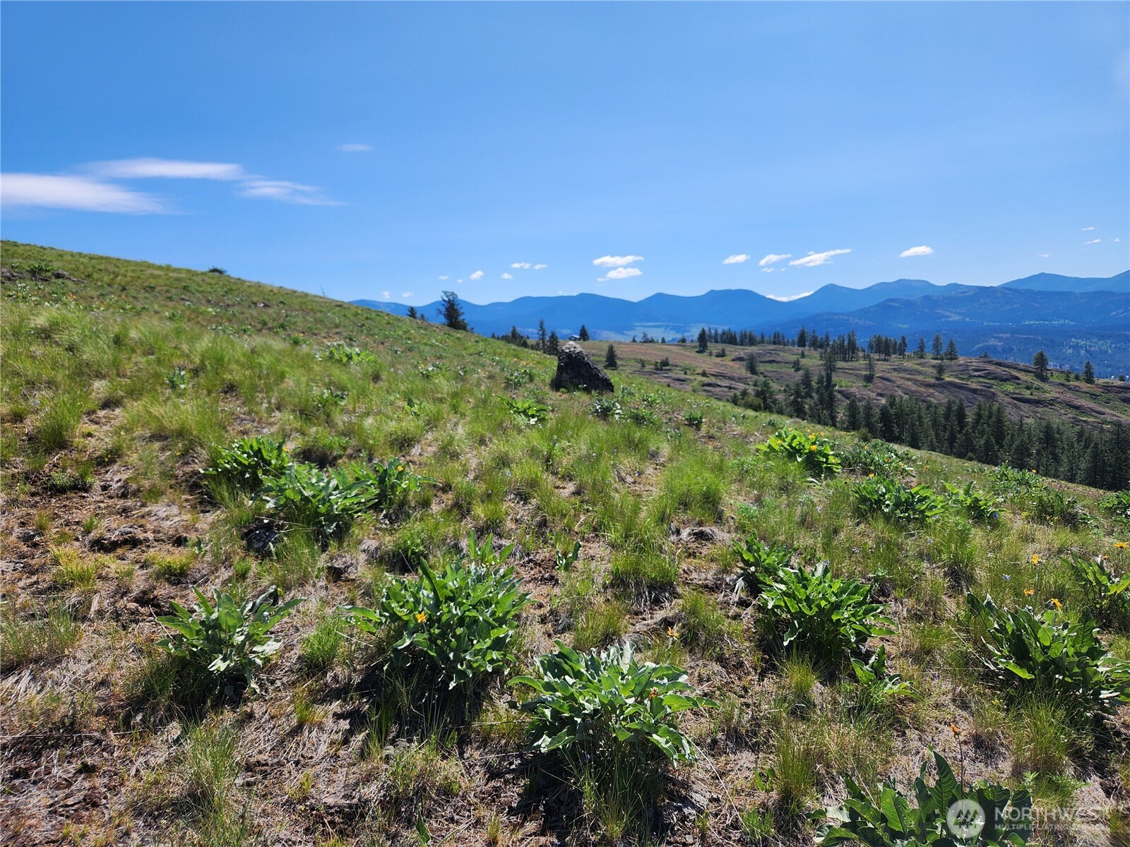 0 E Knob Hill Road Republic WA 99166