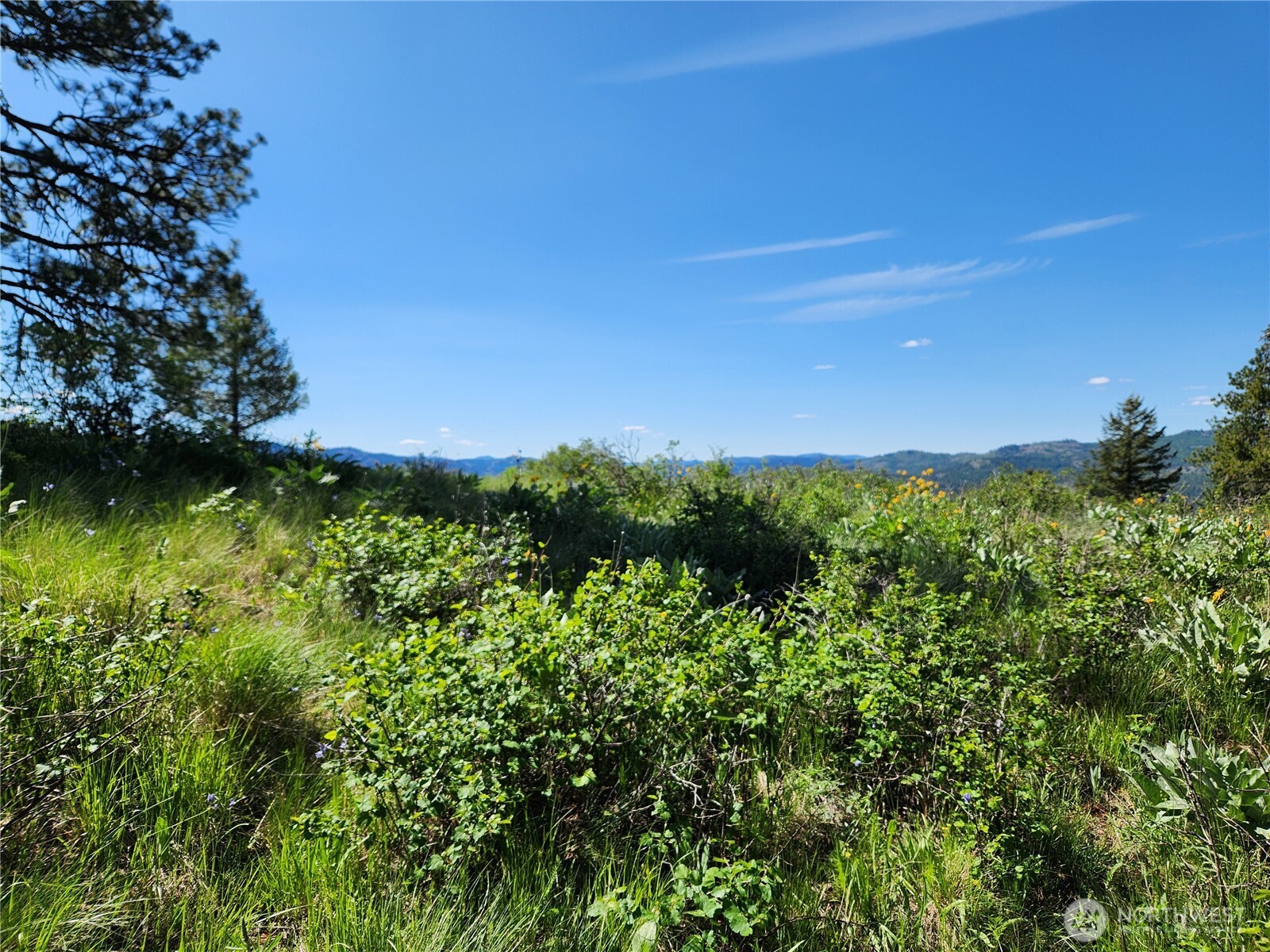 0 E Knob Hill Road Republic WA 99166