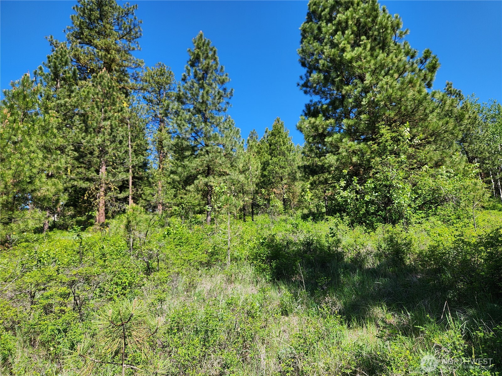 0 E Knob Hill Road Republic WA 99166
