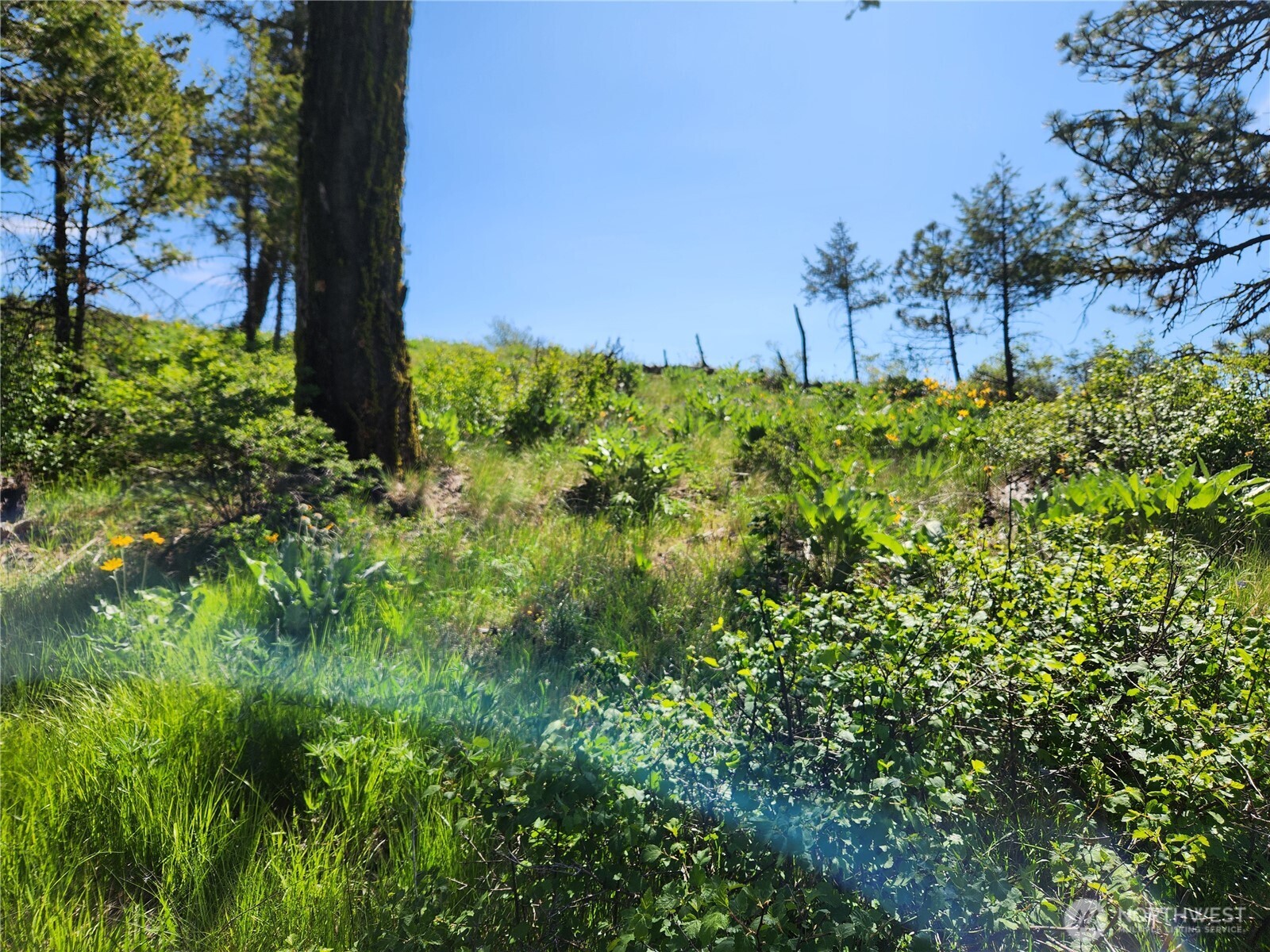 0 E Knob Hill Road Republic WA 99166