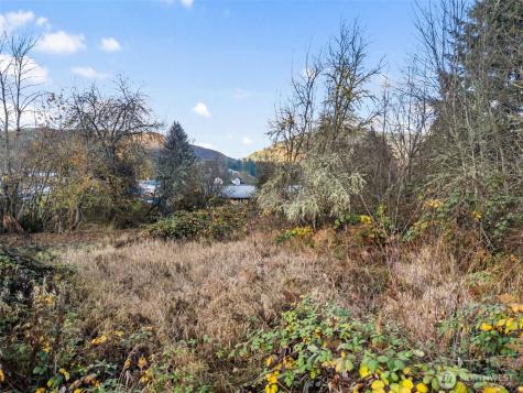 2 Roosevelt Road Mineral WA 98356
