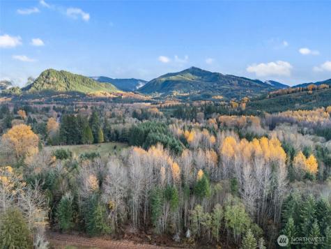 2 Roosevelt Road Mineral WA 98356