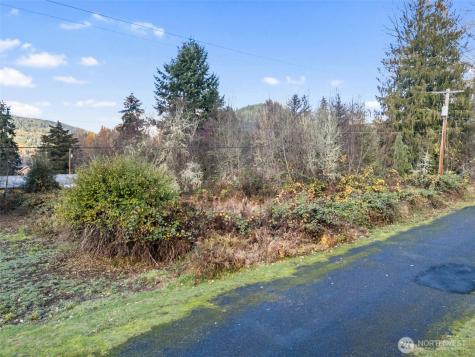 2 Roosevelt Road Mineral WA 98356