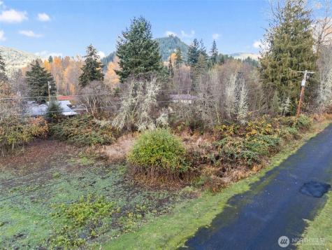 2 Roosevelt Road Mineral WA 98356