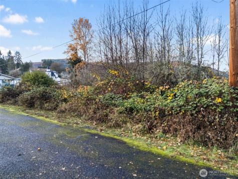 2 Roosevelt Road Mineral WA 98356