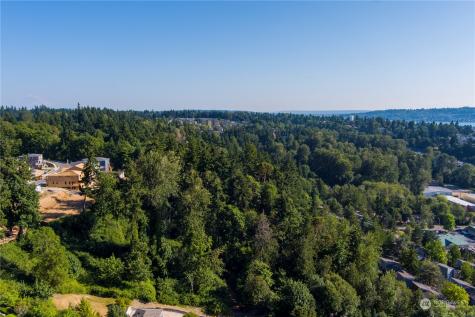 78 111th Place SE Newcastle WA 98056