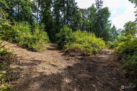 78 111th Place SE Newcastle WA 98056