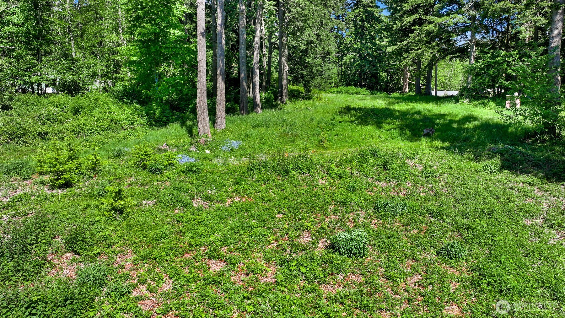 2093 Granger Way Lummi Island WA 98262