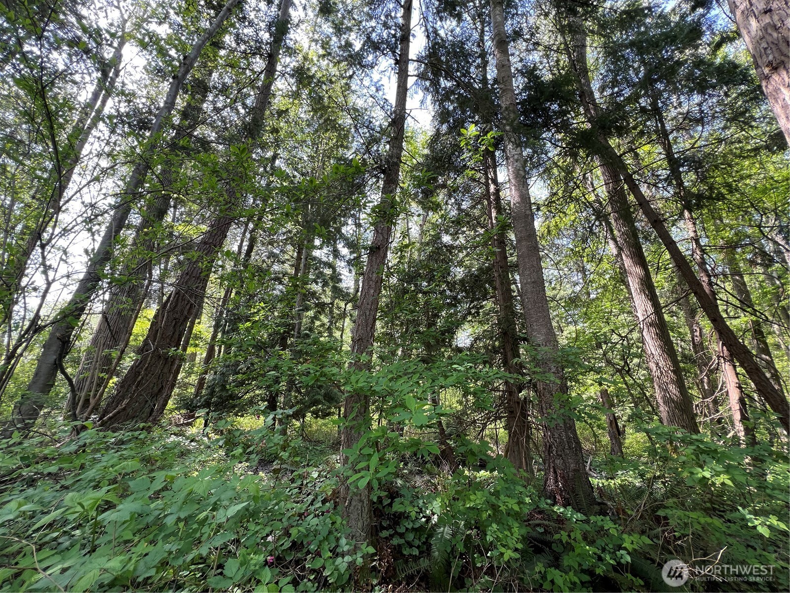 50 Lincoln And Shintaffer Road Blaine WA 98230