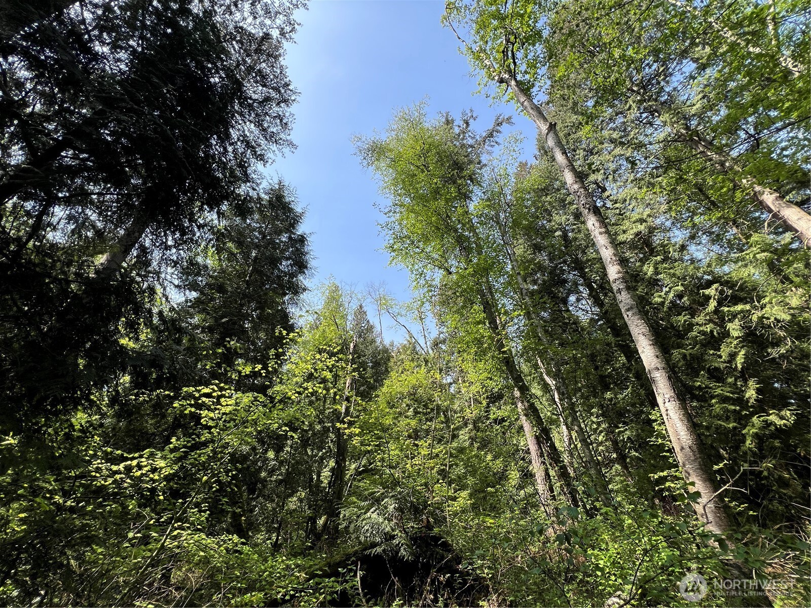 50 Lincoln And Shintaffer Road Blaine WA 98230
