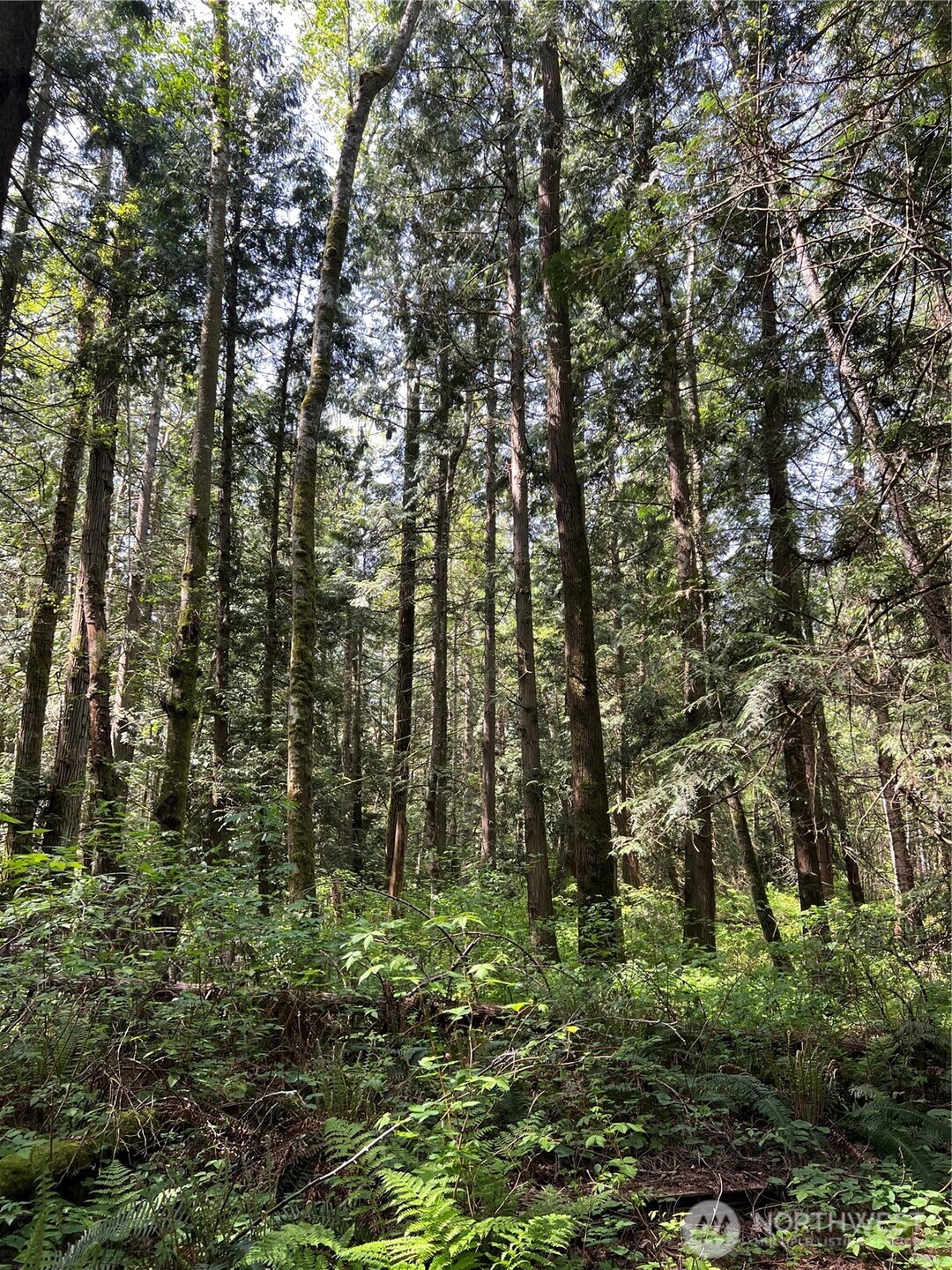 50 Lincoln And Shintaffer Road Blaine WA 98230
