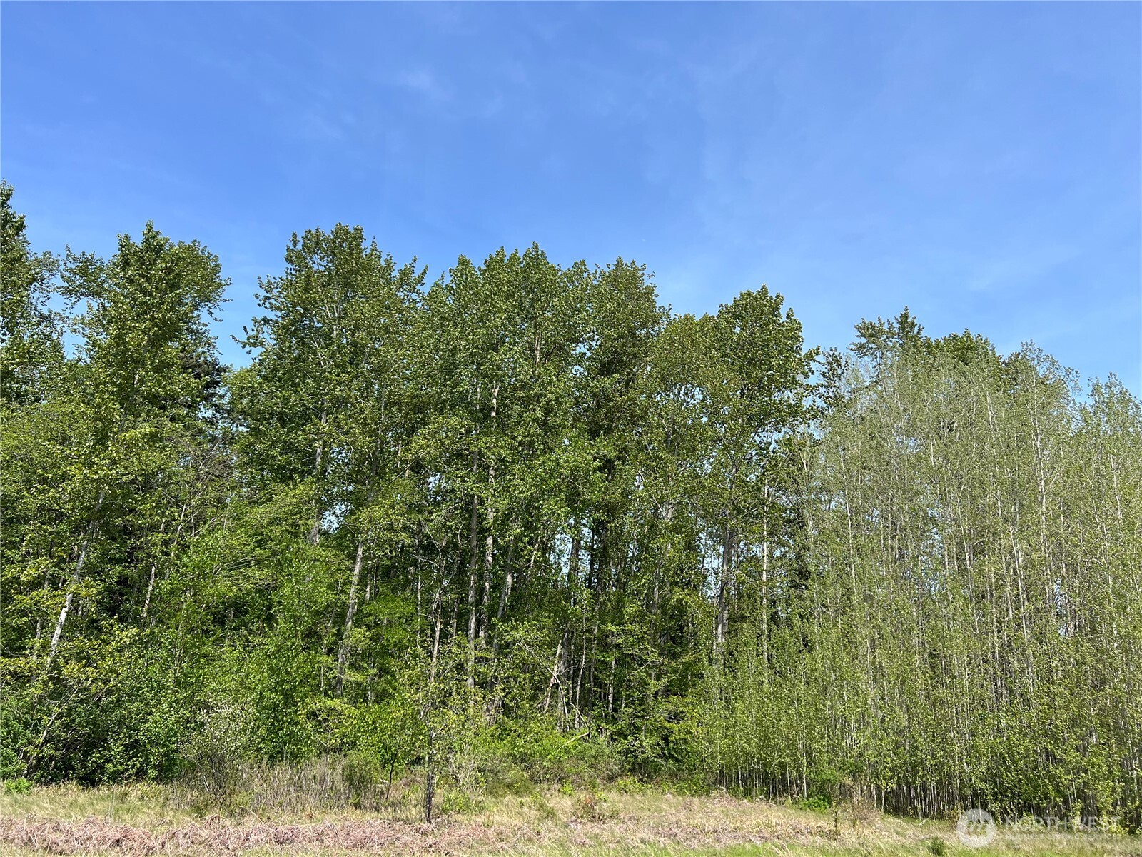 50 Lincoln And Shintaffer Road Blaine WA 98230