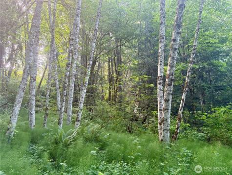 20249 State Route 305 Poulsbo WA 98370