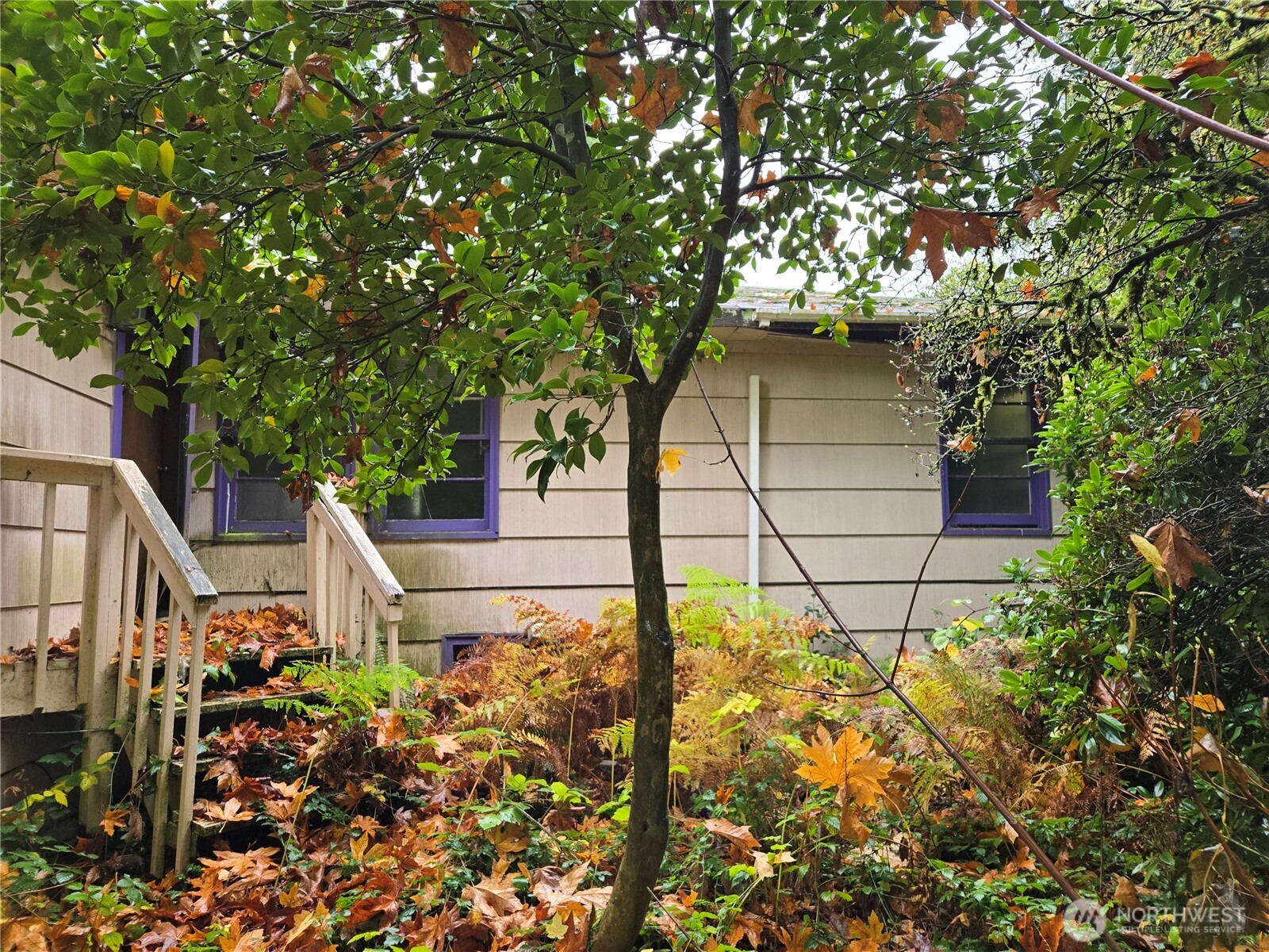 10415 Slater Avenue NE Kirkland WA 98033