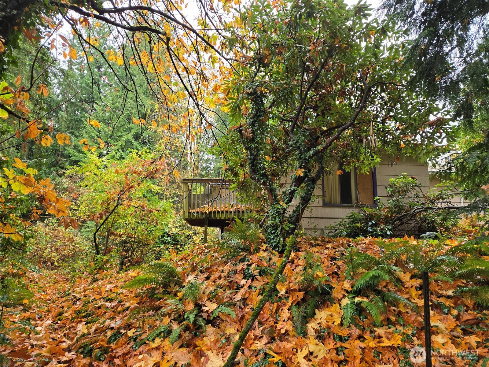 10415 Slater Avenue NE Kirkland WA 98033