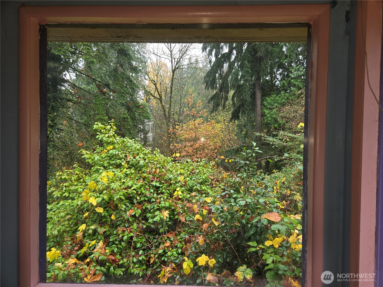 10415 Slater Avenue NE Kirkland WA 98033