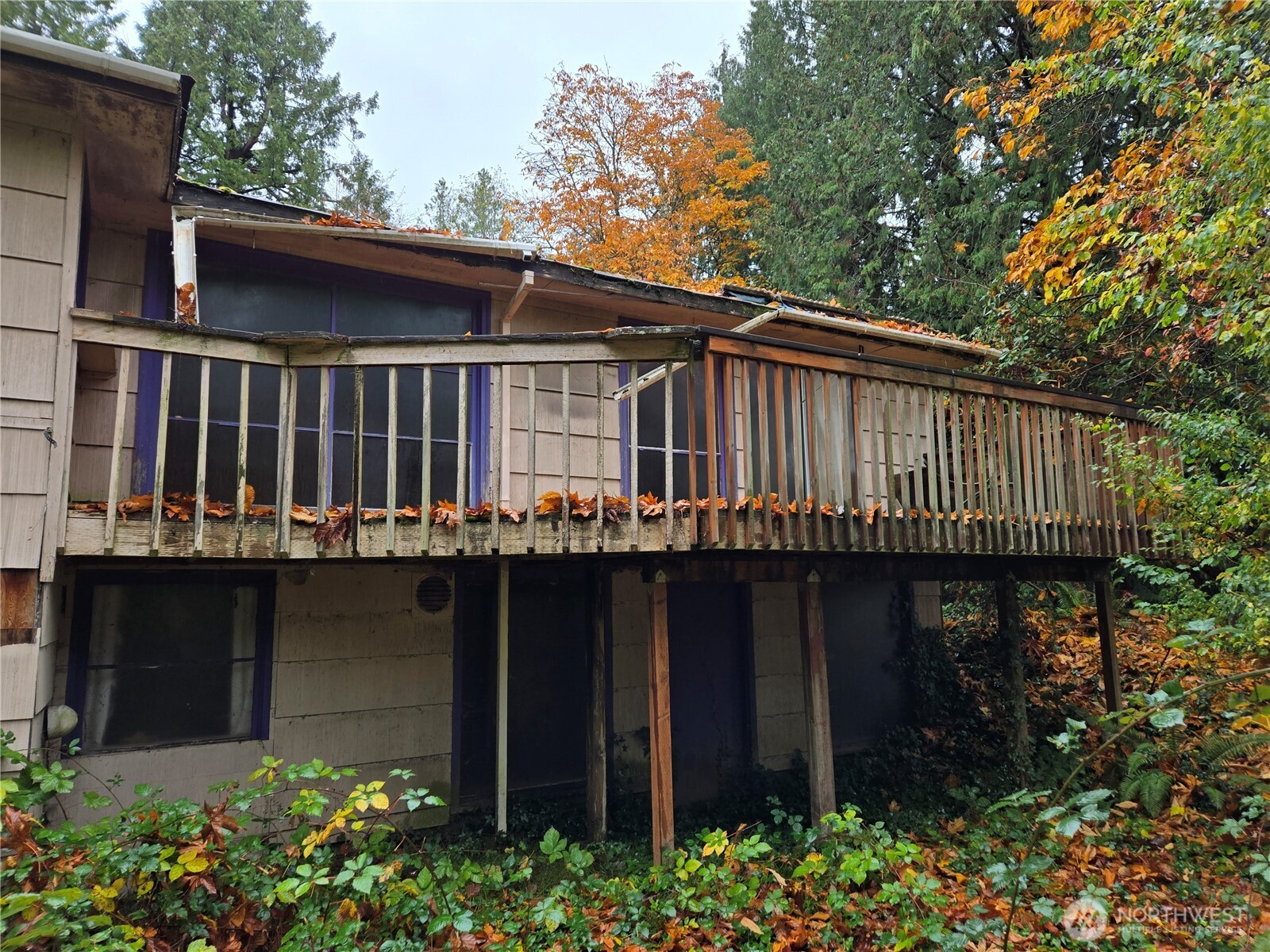 10415 Slater Avenue NE Kirkland WA 98033