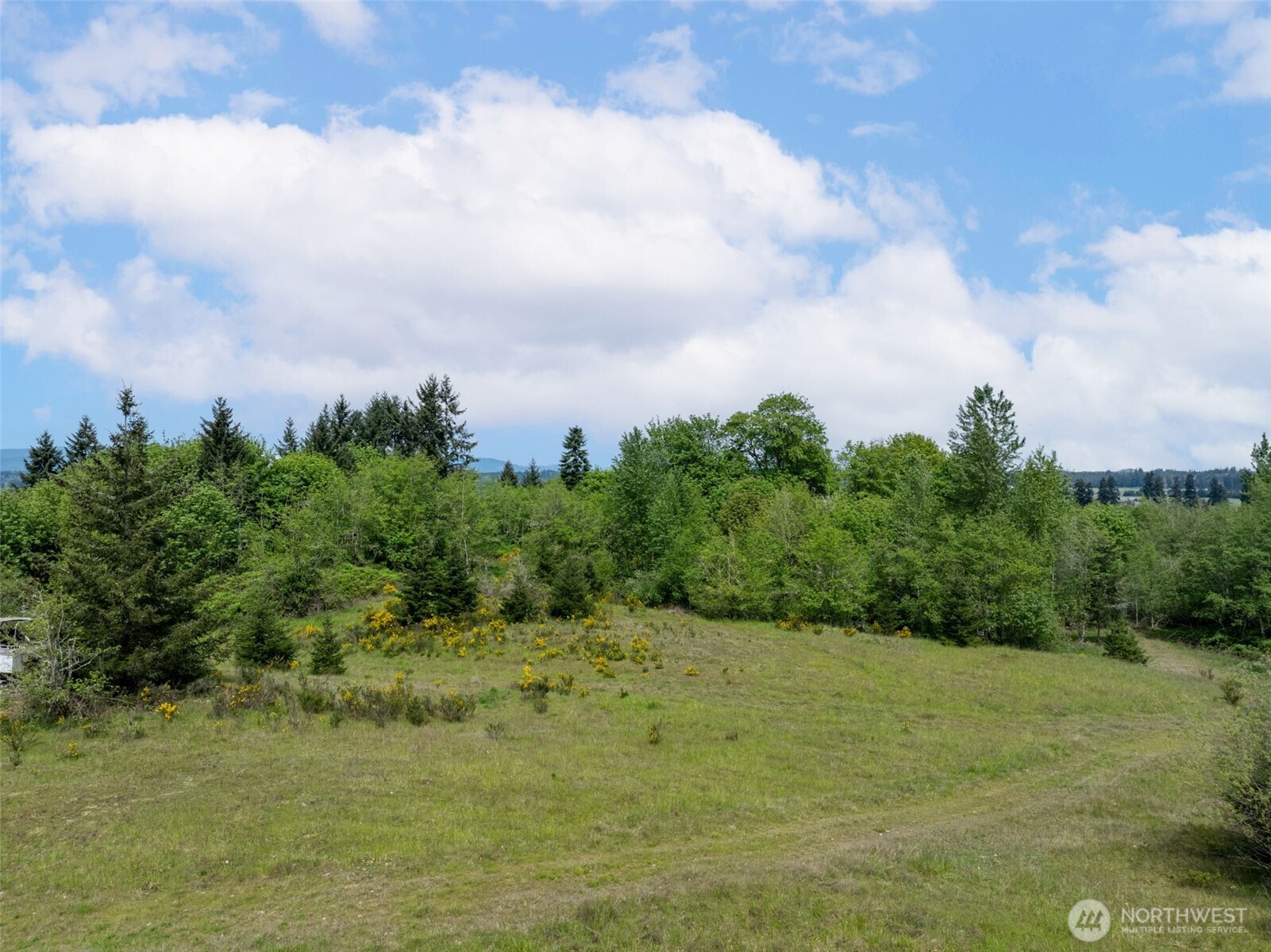 2737 Equus Ridge Lane SW Tenino WA 98589