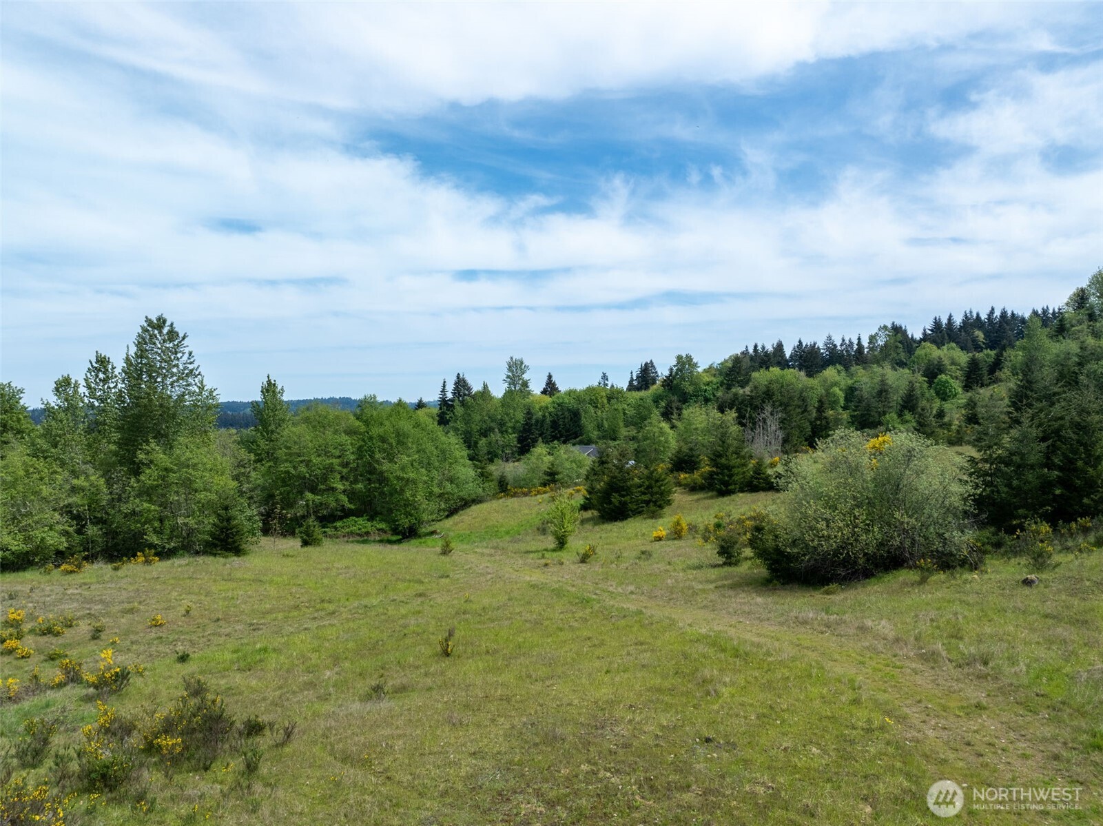 2737 Equus Ridge Lane SW Tenino WA 98589