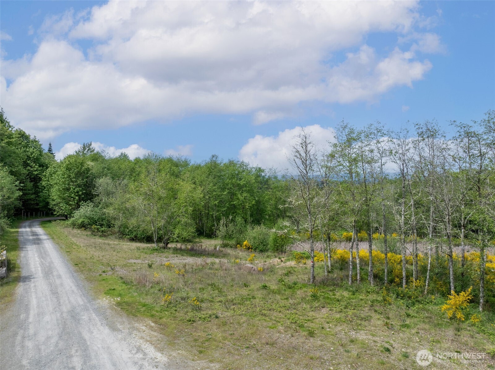 2737 Equus Ridge Lane SW Tenino WA 98589