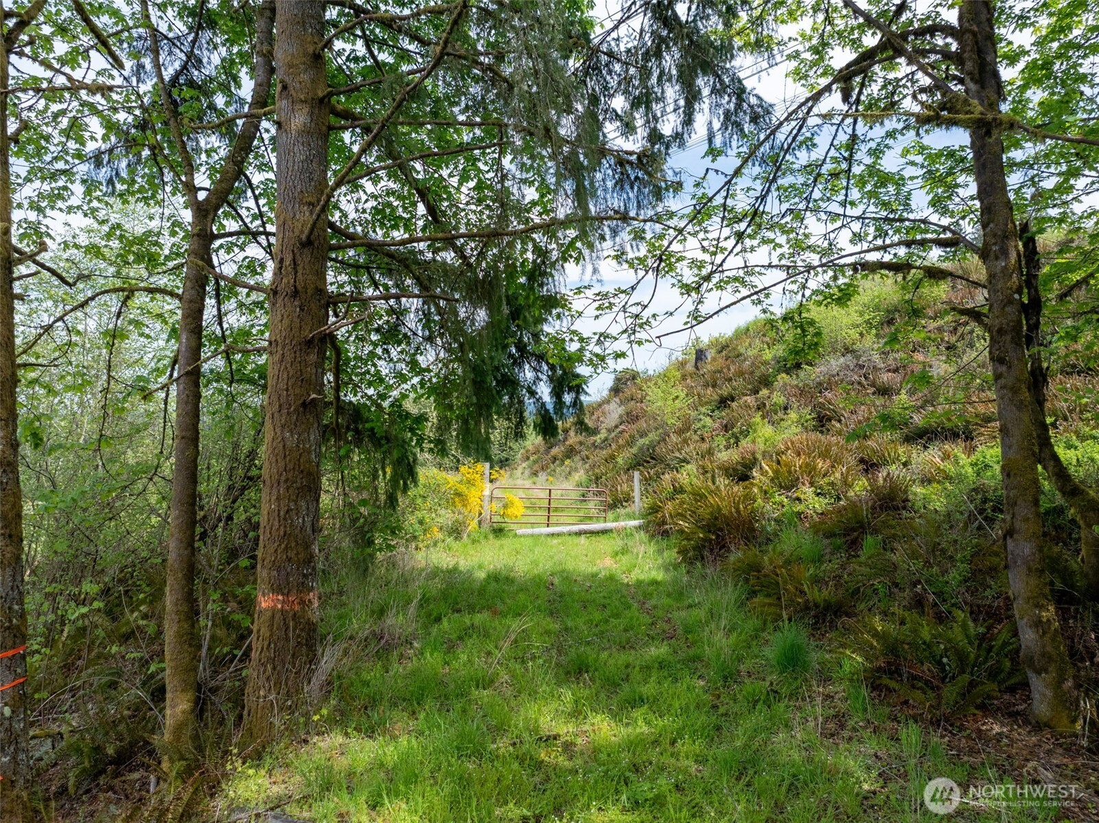 2737 Equus Ridge Lane SW Tenino WA 98589