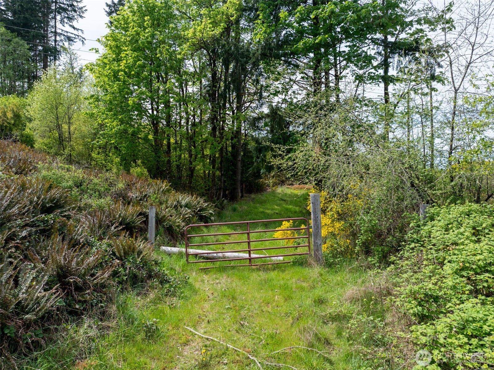 2737 Equus Ridge Lane SW Tenino WA 98589