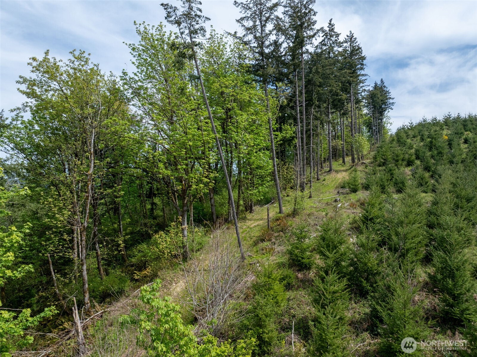 2737 Equus Ridge Lane SW Tenino WA 98589