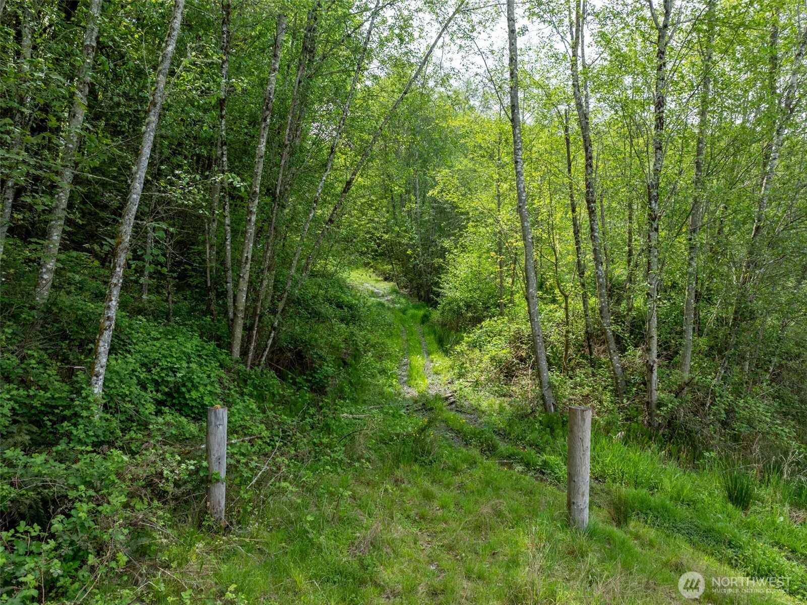 2737 Equus Ridge Lane SW Tenino WA 98589