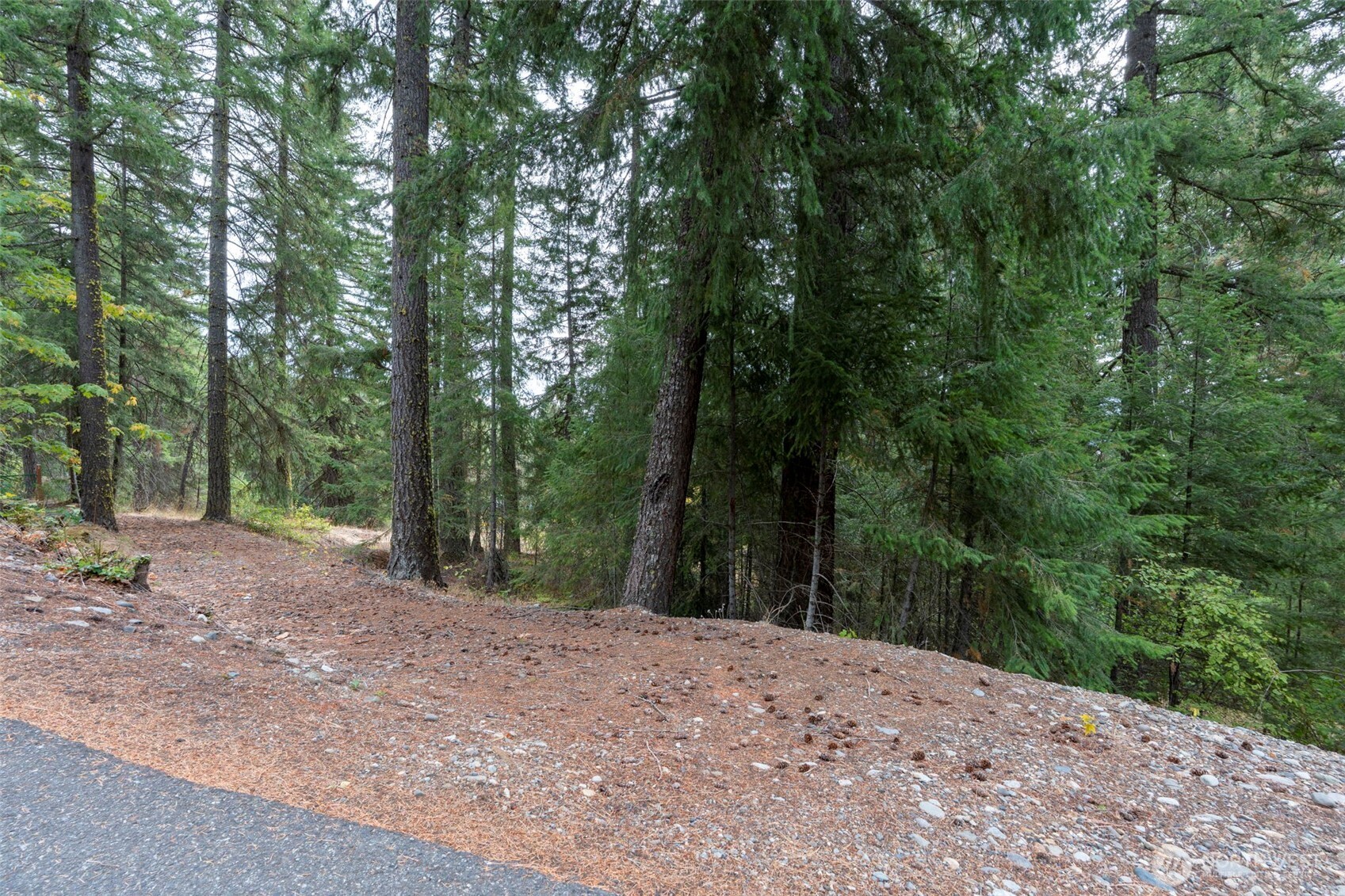 0 Boulder Lane Ronald WA 98940