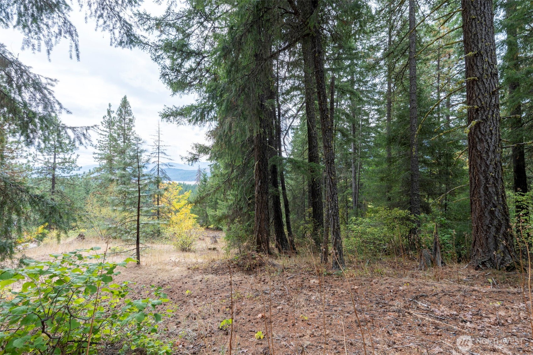 0 Boulder Lane Ronald WA 98940