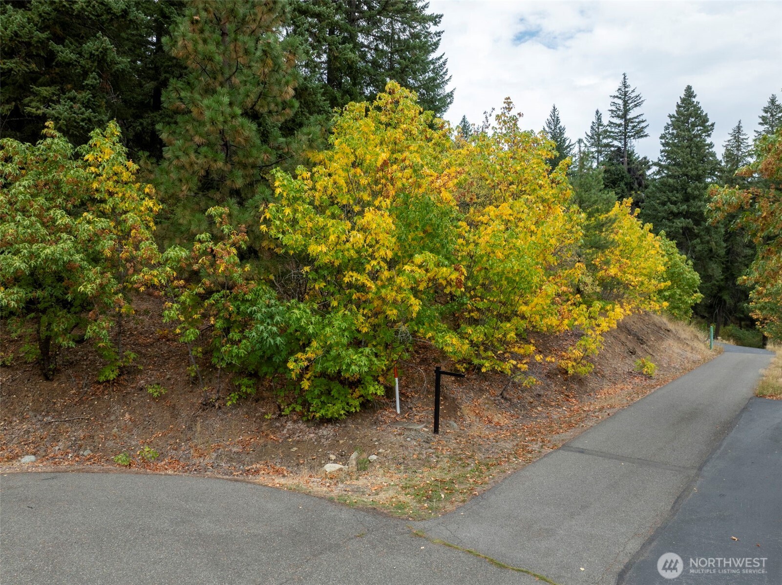 0 Boulder Lane Ronald WA 98940