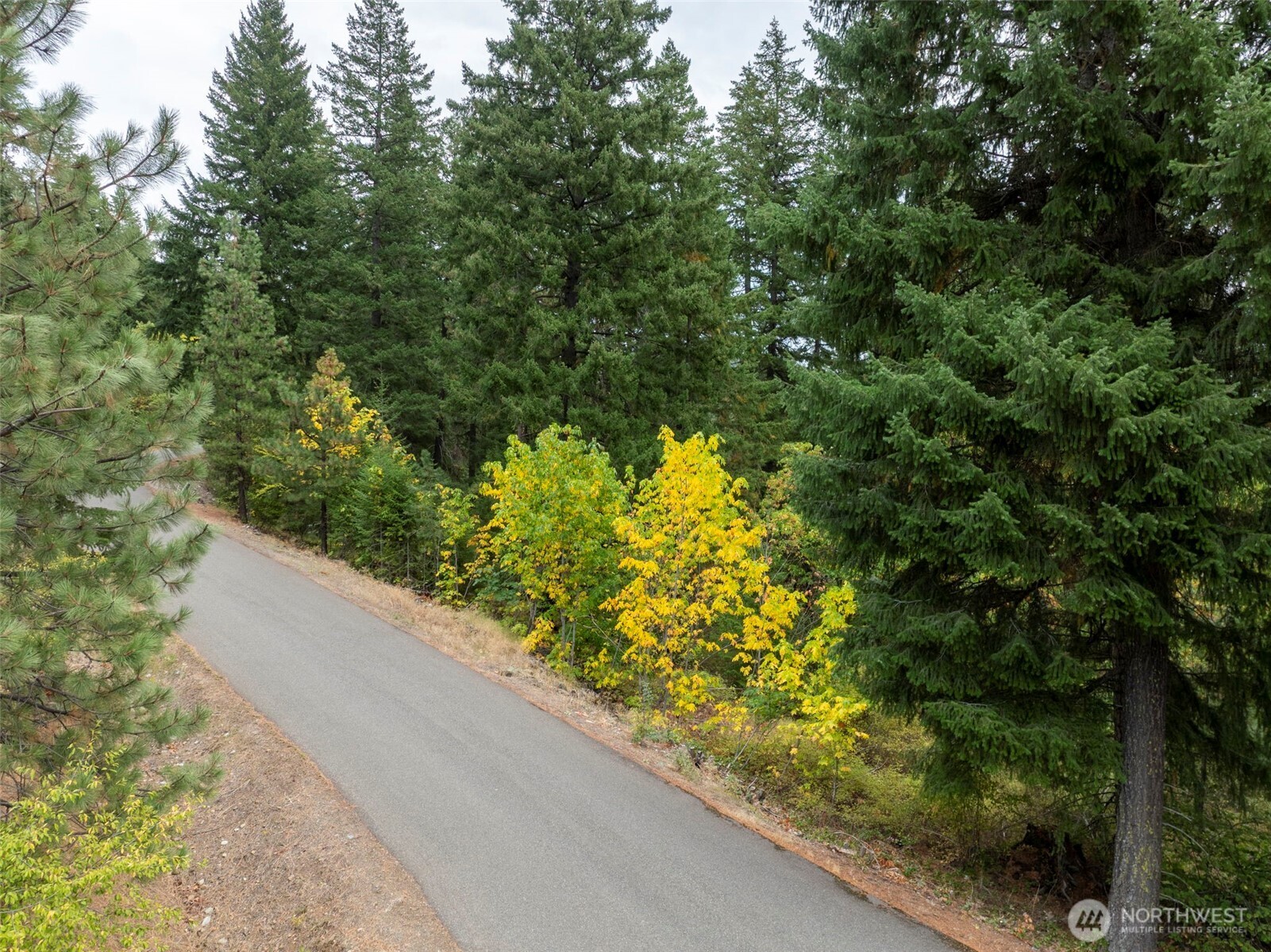 0 Boulder Lane Ronald WA 98940