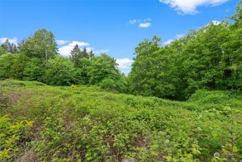3922 Bethel Road SE Port Orchard WA 98366