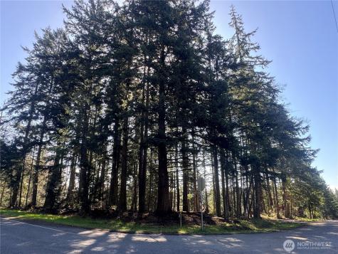 396 Durr Road Camano Island WA 98282