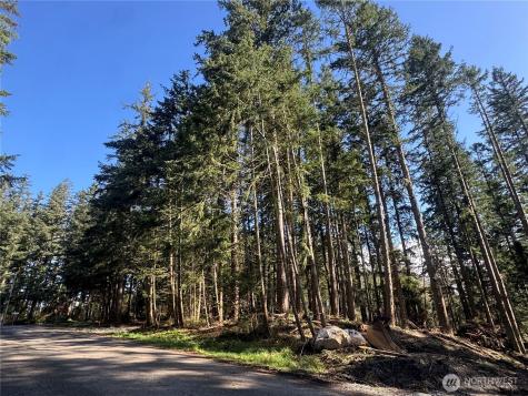 396 Durr Road Camano Island WA 98282