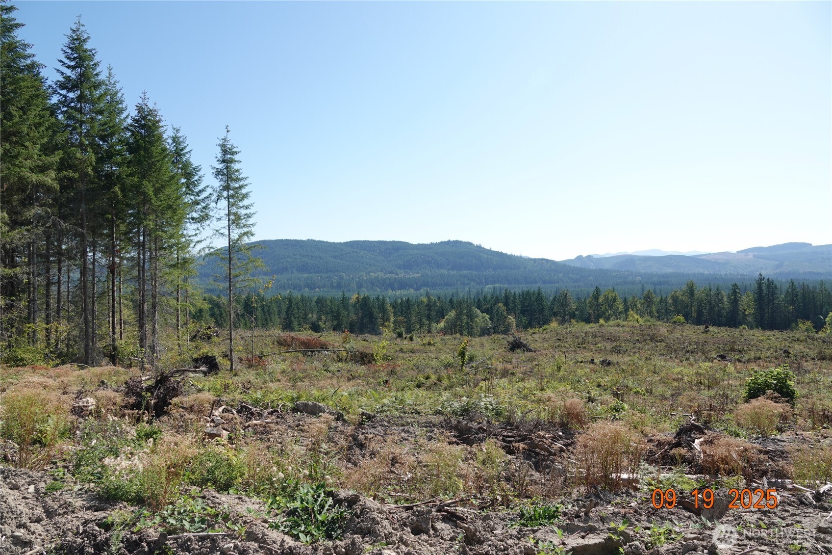 10119 Eatonville Highway E Eatonville WA 98328