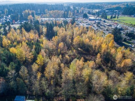 10313 136th Street E Puyallup WA 98374