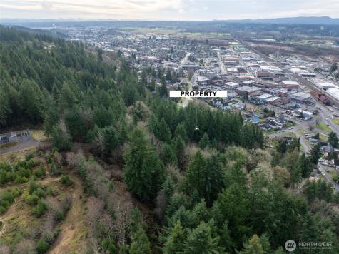 0 NE Franklin Avenue Chehalis WA 98532