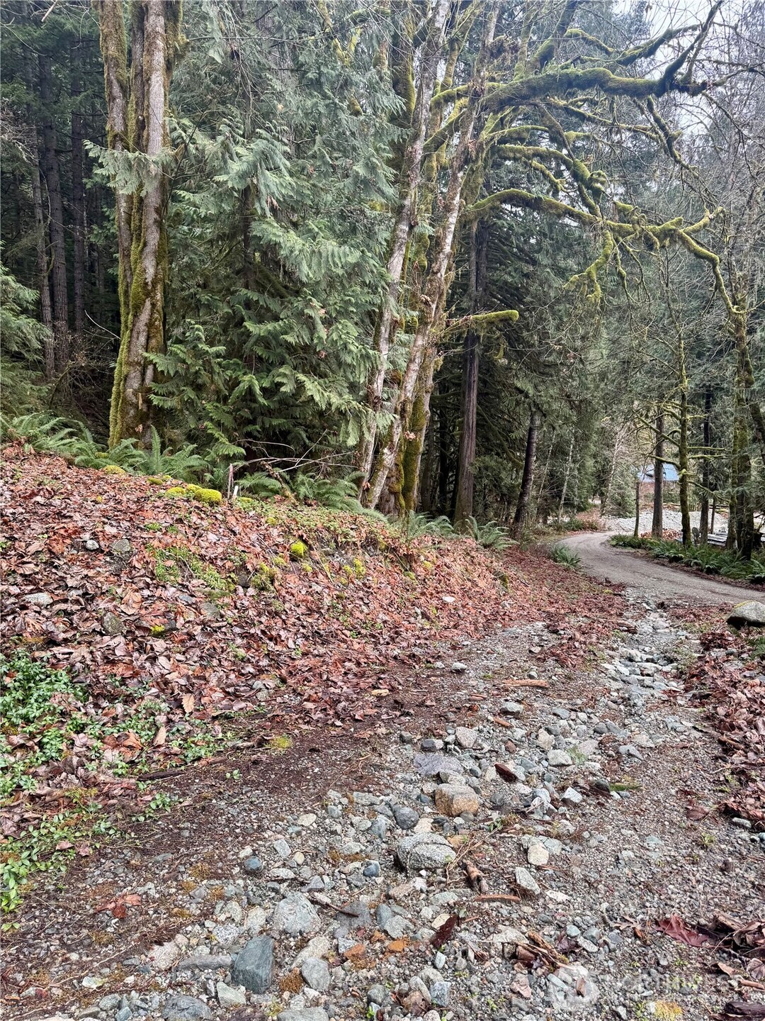 64315 Lookout Mountain Loop Marblemount WA 98267