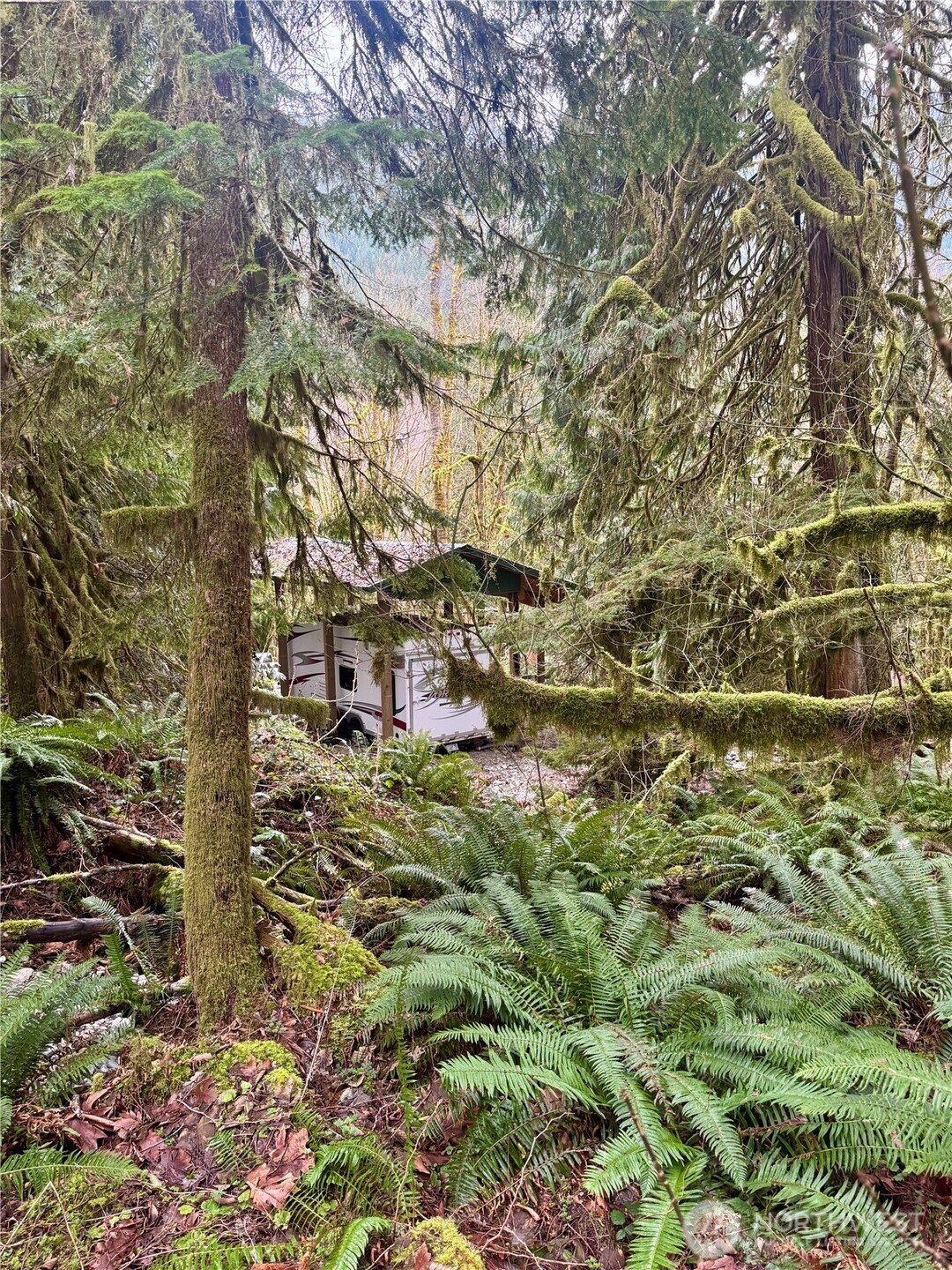 64315 Lookout Mountain Loop Marblemount WA 98267