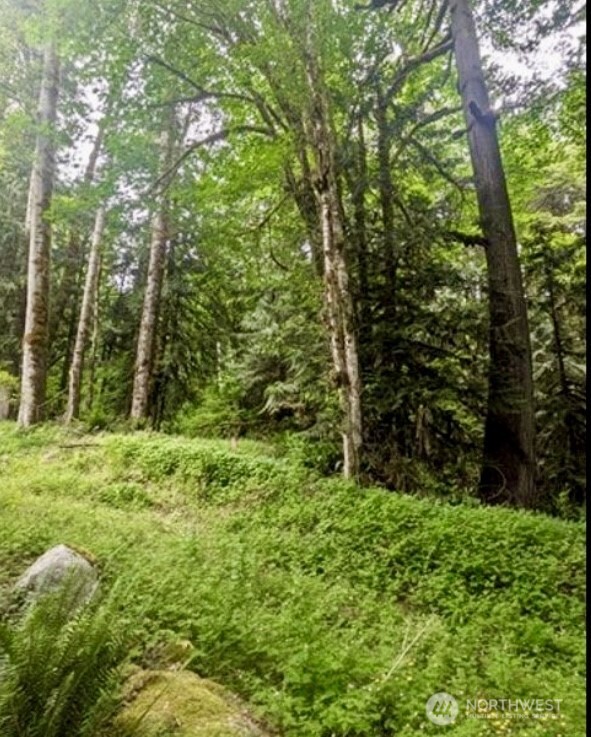64315 Lookout Mountain Loop Marblemount WA 98267