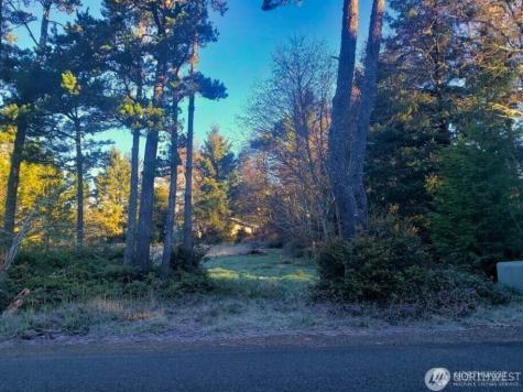 30510 O Ocean Park WA 98640