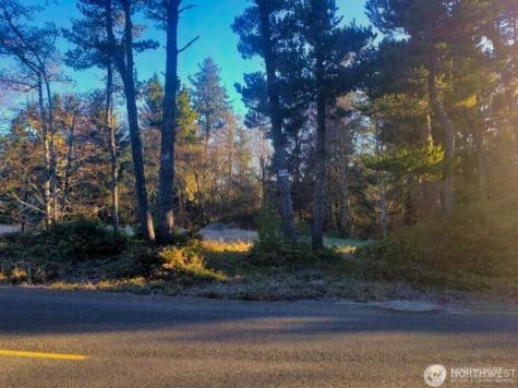 30510 O Ocean Park WA 98640